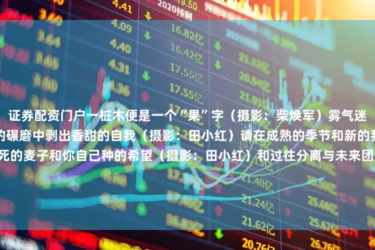 证券配资门户一桩木便是一个“果”字（摄影：柴焕军）雾气迷蒙的日子蒸蒸日上地活在苦涩的碾磨中剥出香甜的自我（摄影：田小红）请在成熟的季节和新的我见面带着上好的阳光一粒不死的麦子和你自己种的希望（摄影：田小红）和过往分离与未来团聚一节又一节的麦子里生命扶摇直上去更高处丈量天地（摄影：田小红）风禾尽起盈车嘉穗编辑：潘玥婷 周丹阳编审：刘亚男监审：常立军 费林敬终审：郭 峰郭清海发布于：北京市