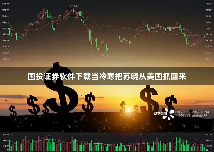 国投证券软件下载当冷寒把苏晓从美国抓回来